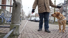 Wijkschouw Benoordenhout-Duinzigt. Loopt u mee?
