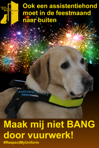 Afbeelding ook een assistentiehond moet in de feestmaand naar buiten