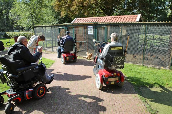 Foto van oversteken met een visuele handicap