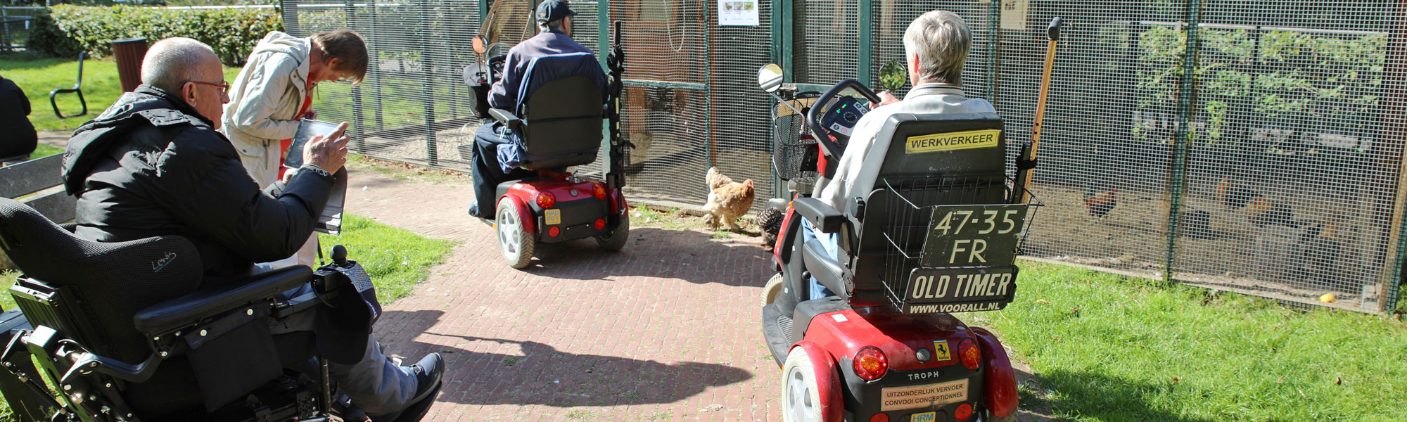 een testteam onderweg in een kinderboerderij