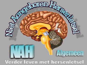 logo NAH