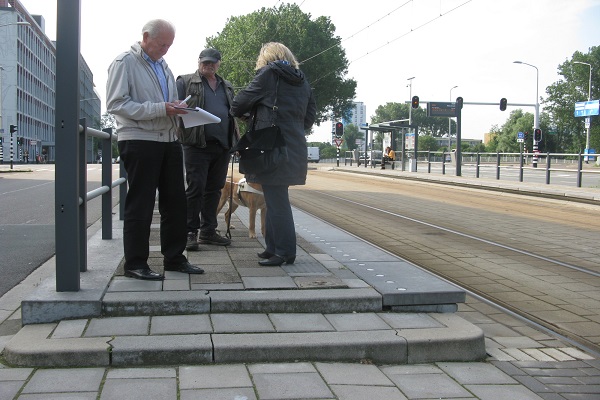 Het team van Voorall - alles over het team